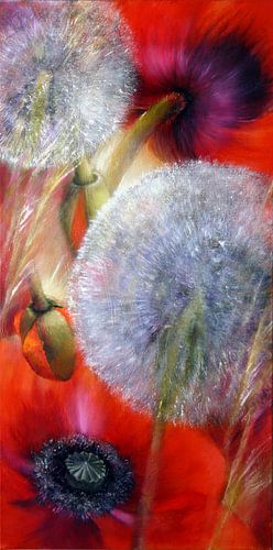 Poppies and dandelions