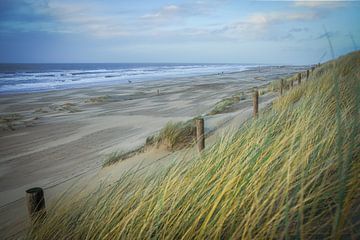 Plage et dunes, mer et vent, vagues le long de la côte ! sur Dirk van Egmond