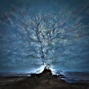 Beekhuizerzand mit Pep-Ventosa-Technik von Eddy Westdijk