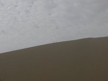 Dune