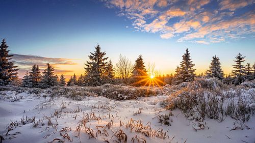 De eerste sneeuw van Steffen Henze
