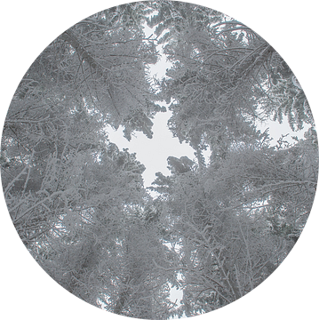 Bomen in de sneeuw van Richard van der Hoek