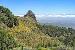 Mirador Caldera los Marteles Gran Canaria