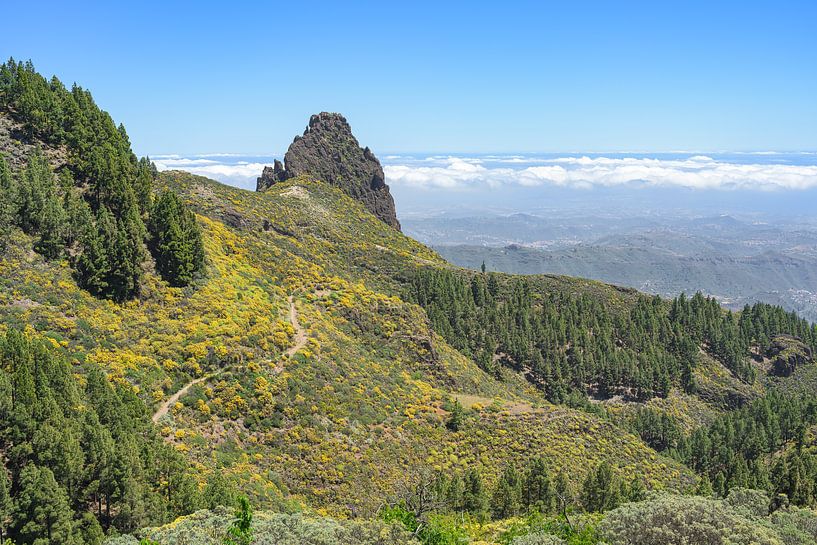 Mirador Caldera los Marteles Gran Canaria von Michael Valjak
