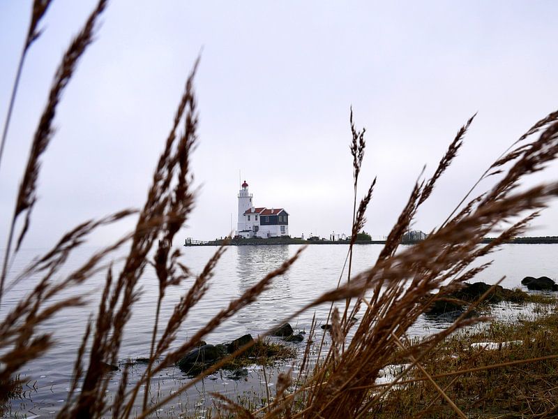 The Horse of Marken, the lighthouse by Judith van Wijk