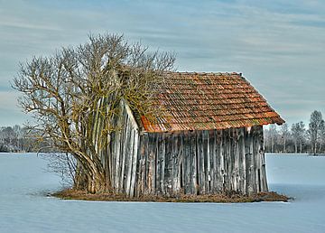Hütte im Winter - Bayern van Peter Bergmann