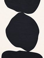 Organische abstrakte Kunst - Schwarz-Weiß-Töne