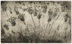 Diffusion, gravure