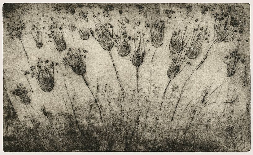 Streuung, Radierung von Helga Pohlen - ThingArt