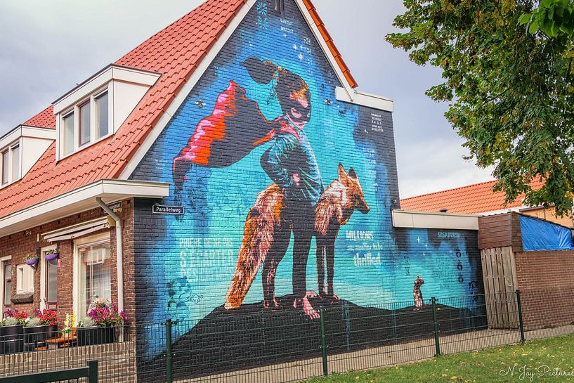 Murals Sluiswijk Deventer by N-Joy Pictures
