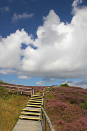 Un escalier à travers la magie de la lande – Un chemin vers la nature sur Nordlicht Atelier