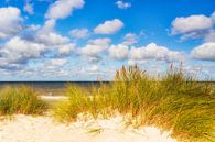 Baltic Sea pure by Daniela Beyer thumbnail