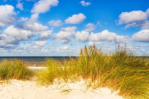 La mer Baltique à l'état pur
