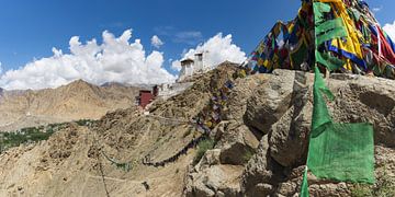 Gebedsvlaggen boven Leh, Ladakh, India van Walter G. Allgöwer
