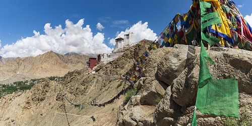 Gebedsvlaggen boven Leh, Ladakh, India