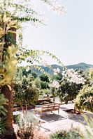 Chair on the terrace | Moroccan travel photography