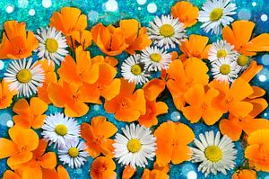 Blumen-Collage