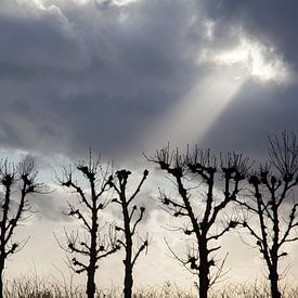 Jacob's Ladder (Crepuscular rays) van Peter van Eekelen