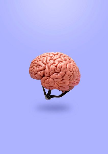 Bescherm uw geest van 360brain