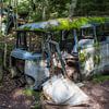 Sloopauto's overwoekerd door de natuur van Mart Houtman