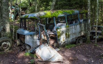 Sloopauto's overwoekerd door de natuur