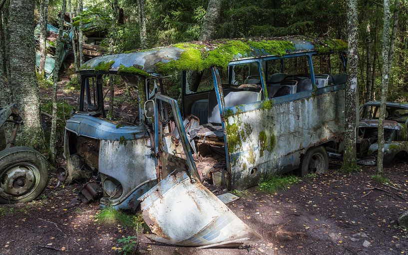 Des voitures à la casse envahies par la nature par Mart Houtman