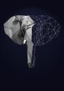 Elefant, geometrische Illustration von Nynke Altenburg Miniaturansicht