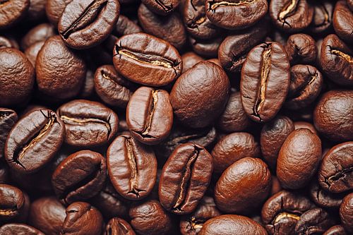 Close up van koffiebonen