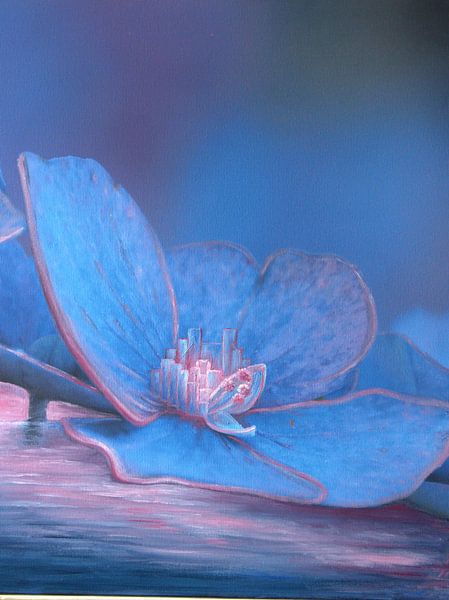 Hydrangea blossom 5a by Edeltraut K. Schlichting