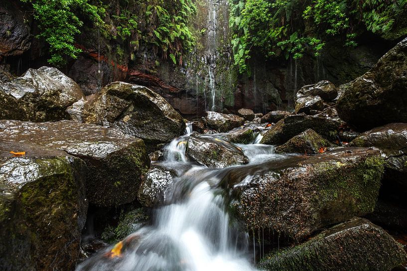 Madeira - 25 Fontes Falls by Vincent Bornbaum
