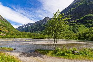 Landschaft an der Gletscherzunge Supphellebreen nahe Fjærland i