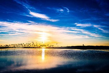 Terschelling bij avond met de Brandaris , zonsondergang