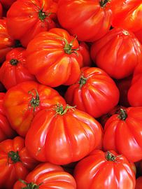 Tomatoes Coeur de Boeuf  by Nanette de Jong