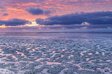 Teintes pastel au coucher du soleil à la mer des Wadden