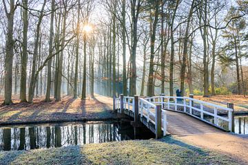 Winterse ochtend met bruggetje in het beukenbos - Utrechtse Heuvelrug van Sjaak den Breeje