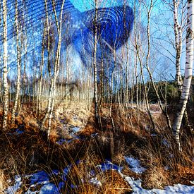 Happy Winter Trees von Joep Oomen