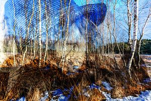 Happy Winter Trees