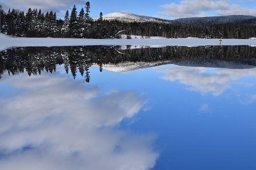 Eerste sneeuw op het meer