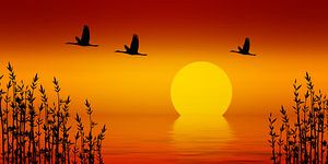 Sonnenuntergang
