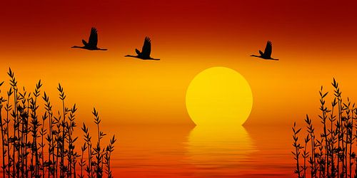 Zonsondergang