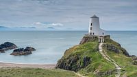 Tŵr Bach Lighthouse
