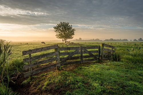 Polderlandschaft mit Zaun im grünen Herzen von Jasper Suijten