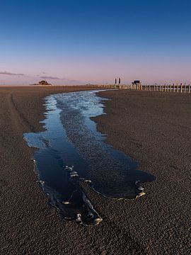 Voici le déluge sur Orangefield-images