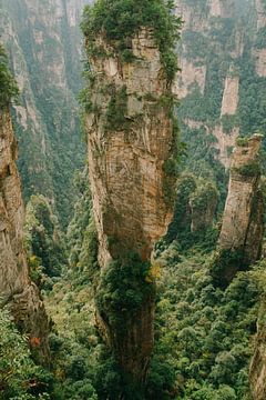 Zhangjiajie bergen in China van Gracia Lam