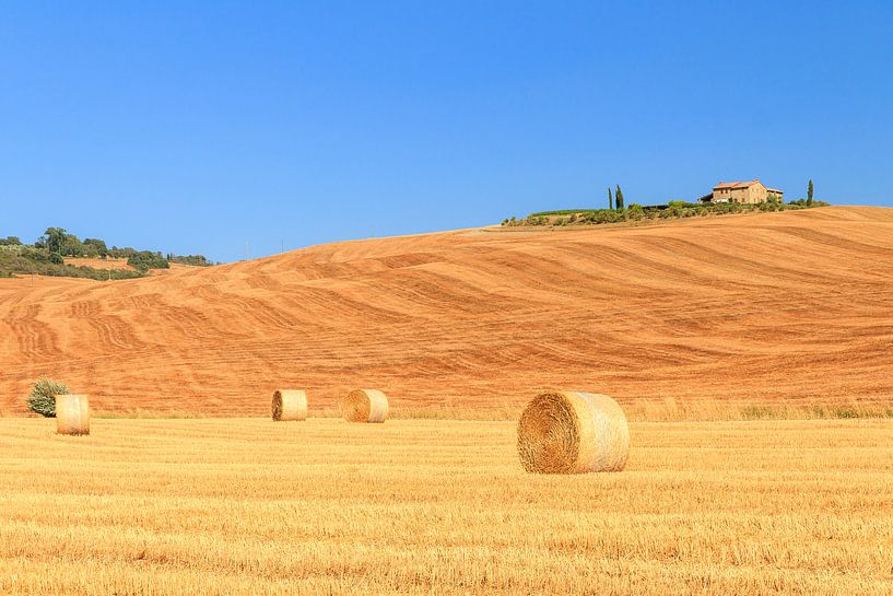 Toscaans landschap von Dennis van de Water