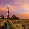 Westerheversand lighthouse - panorama at sunset by Frank Herrmann
