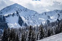 Winter landscape with snowy mountains