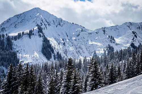 Landschap met besneeuwde bergen en naaldbomen