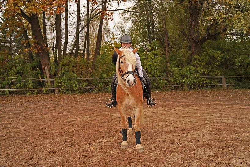 Training with the light brown Haflinger with beige mane by Babetts Bildergalerie