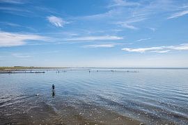 Waddenzee Harlingen van Brian Morgan